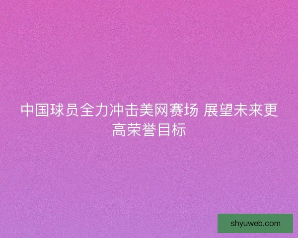 中国球员全力冲击美网赛场 展望未来更高荣誉目标